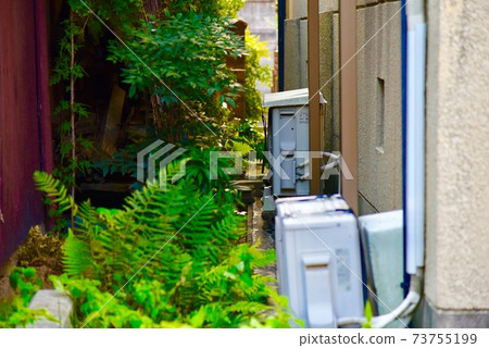 Alley  73755199