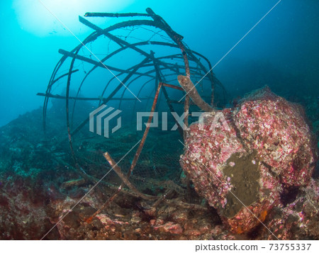 破碎的魚捕撈器沉沒在珊瑚礁上（緬甸梅爾吉群島） 73755337