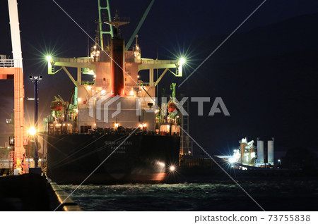 一艘巨大的船停泊在碼頭 73755838