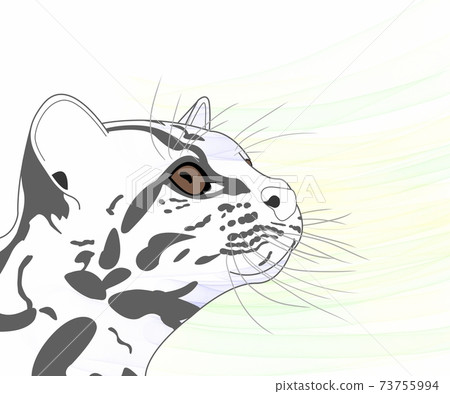 It's a tabby cat, but it's Margay. I think I found something in the woods that interests me. It's a tabby cat, but it's Margay. I think I found something in the woods that interests me. 73755994