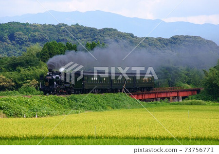 Fresh green SL Hitoyoshi Fresh green SL Hitoyoshi 73756771