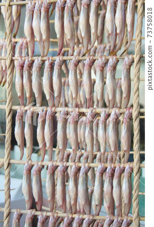 Shishamo bamboo blind (Mukawa Town, Hokkaido) 73758018