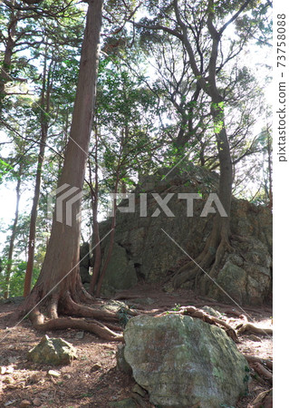 天壇萬座遺址，以其功率點而聞名，由神社 73758088