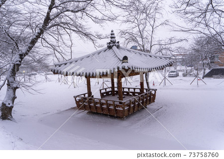 滿陽寺（自然紀念碑第366號），滿陽郡，滿南郡 73758760