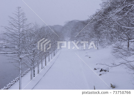 Damyang Temple (Natural Monument No. 366), Damyang-gun, Jeonnam 73758766