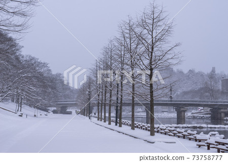 滿陽寺(自然紀念碑第366號),滿陽郡,滿南郡 滿陽寺(自然紀念碑第366號),滿陽郡,滿南郡 73758777