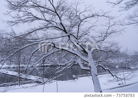 滿陽寺(自然紀念碑第366號),滿陽郡,滿南郡 滿陽寺(自然紀念碑第366號),滿陽郡,滿南郡 73758783