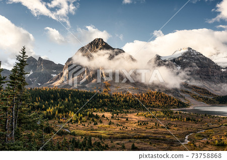 Rocky mountains with fog and blue sky on autumn forest at Assiniboine provincial park 73758868