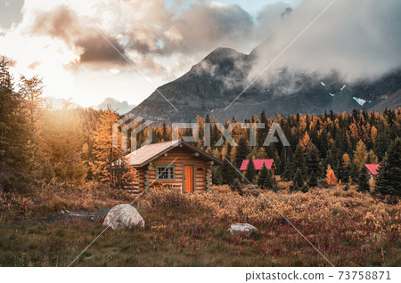 Wooden huts with sunshine in autumn forest at Assiniboine provincial park 73758871