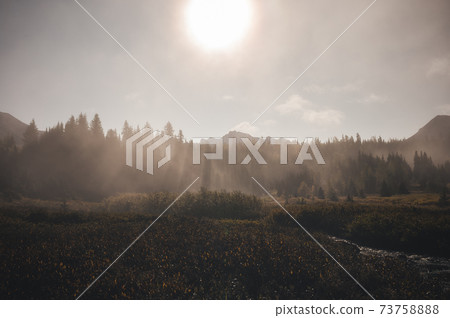 Scenery of Rocky mountains with foggy in autumn forest at morning in Assiniboine provincial park Scenery of Rocky mountains with foggy in autumn forest at morning in Assiniboine provincial park 73758888