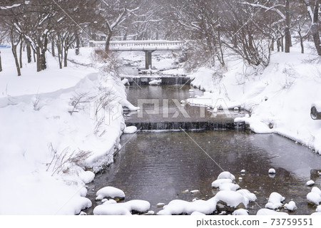 釜山,Jeongeup,全北 釜山,Jeongeup,全北 73759551