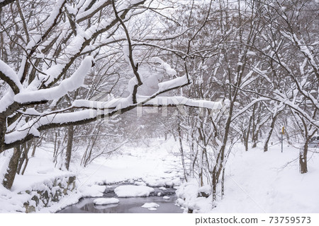 釜山,Jeongeup,全北 釜山,Jeongeup,全北 73759573