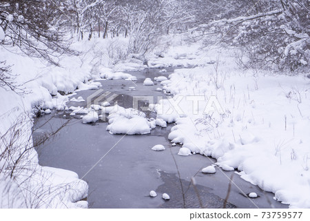 釜山,Jeongeup,全北 釜山,Jeongeup,全北 73759577