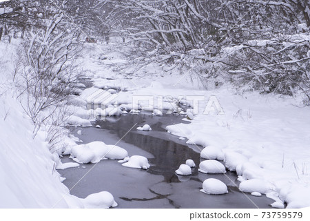 釜山,Jeongeup,全北 釜山,Jeongeup,全北 73759579