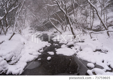 Busan, Jeongeup, Jeonbuk 73759605