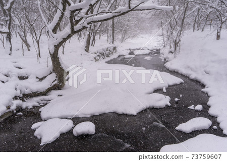 釜山,Jeongeup,全北 釜山,Jeongeup,全北 73759607