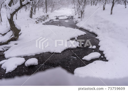 釜山，Jeongeup，全北 73759609