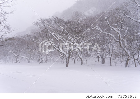 釜山,Jeongeup,全北 釜山,Jeongeup,全北 73759615