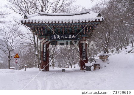 Busan, Jeongeup, Jeonbuk Busan, Jeongeup, Jeonbuk 73759619