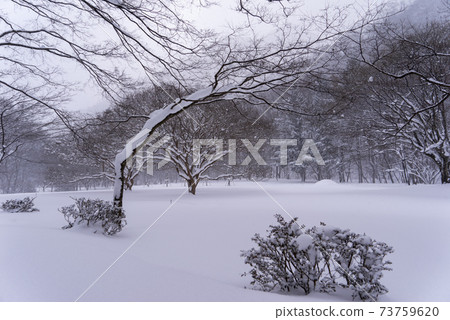 釜山,Jeongeup,全北 釜山,Jeongeup,全北 73759620