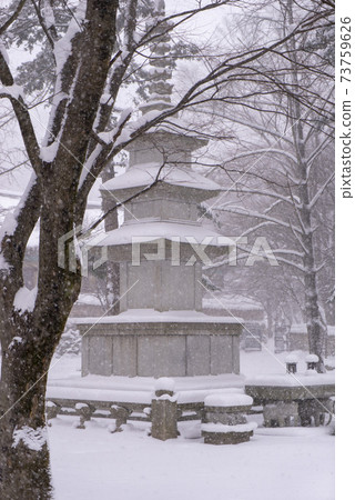 Busan, Jeongeup, Jeonbuk 73759626