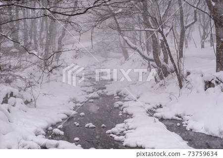 Busan, Jeongeup, Jeonbuk 73759634