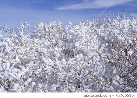 Deogyusan, Muju-gun, Jeonbuk 73760590