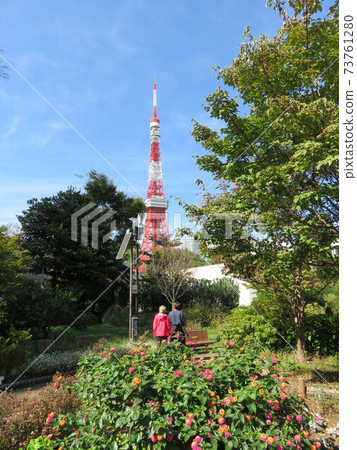 Tokyo Tower seen over the flowerbed of Shiba Park Tokyo Tower seen over the flowerbed of Shiba Park 73761280