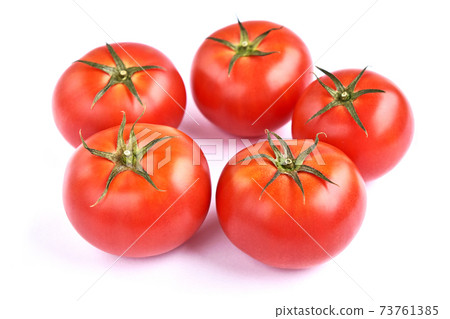水果番茄 73761385