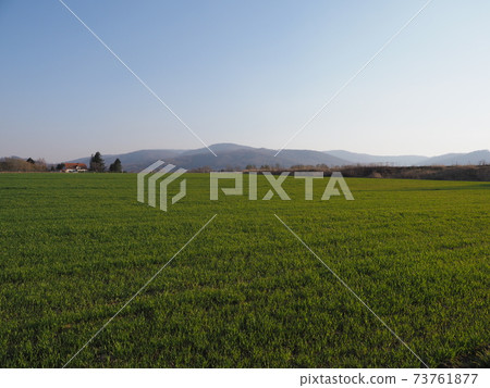 Grass and Silesian Beskid Mountains in Bielsko-Biala city, Poland 73761877