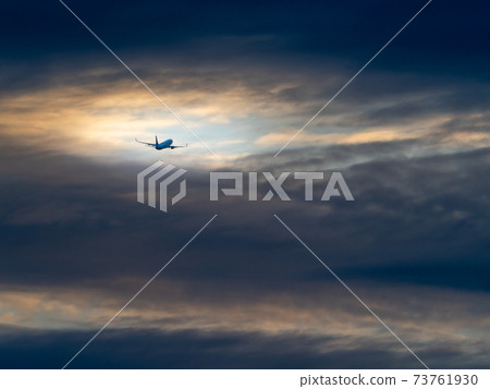 清晨飛行 清晨飛行 73761930