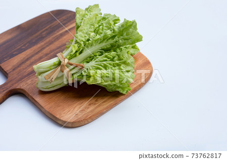 Chinese Cabbage on white background. Chinese Cabbage on white background. 73762817