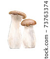 Ellingi 1 73763374