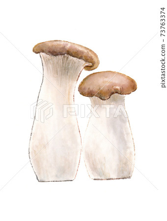 Ellingi 1 Ellingi 1 73763374