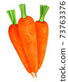 carrot  73763376