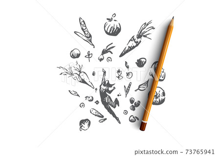 Vegetarianism, vegetarian lifestyle, clean eating concept. Hand drawn sketch isolated illustration Vegetarianism, vegetarian lifestyle, clean eating concept. Hand drawn sketch isolated illustration 73765941