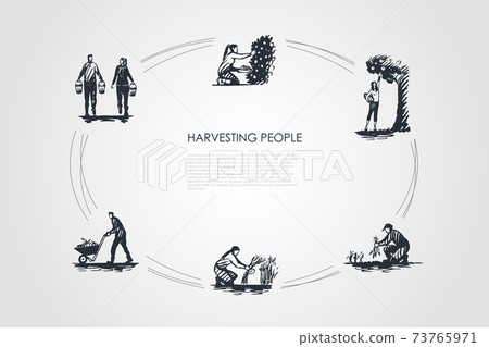 Harvesting people - people picking fruits and carrots, binding grass, carrying and transporting harvest vector concept set 73765971