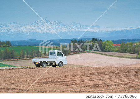 輕型卡車和美瑛山/北海道美瑛 73766066