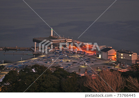 從江之島看的片瀨海岸的夜景 73766445