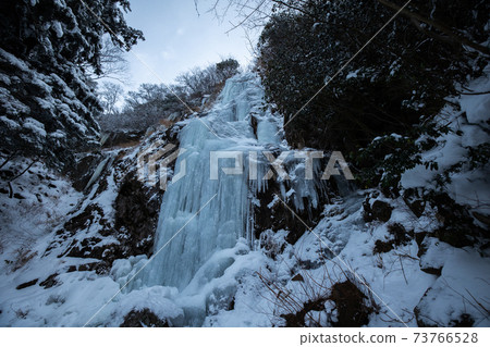 《Icicles in Kawaradani, Fukuoka Prefecture》 Snowfall in Nanshoga Falls 73766528