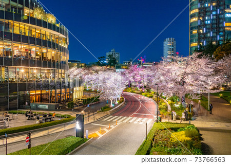 Night view of Tokyo Midtown (cherry blossoms) 73766563
