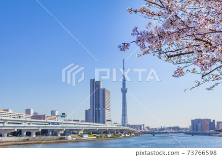 Tokyo Sky Tree and Sakura (Minamisenju Shioiri Park) 73766598