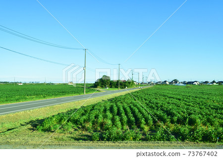 從松島會安站到石卷站的Senseki線/ Senseki東北線的火車窗外的風景 從松島會安站到石卷站的Senseki線/ Senseki東北線的火車窗外的風景 73767402
