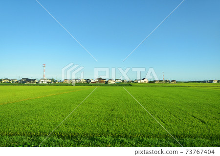 Scenery from the train window of the Senseki Line / Senseki Tohoku Line from Matsushima Kaigan Station to Ishinomaki Station Scenery from the train window of the Senseki Line / Senseki Tohoku Line from Matsushima Kaigan Station to Ishinomaki Station 73767404