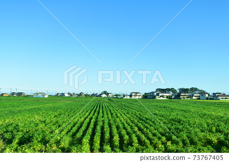 從松島會安站到石卷站的Senseki線/ Senseki東北線的火車窗外的風景 73767405