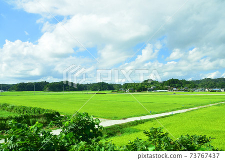Scenery from the train window of the Senseki Line / Senseki Tohoku Line from Matsushima Kaigan Station to Ishinomaki Station 73767437