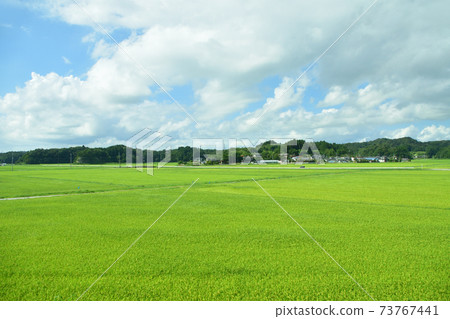 Scenery from the train window of the Senseki Line / Senseki Tohoku Line from Matsushima Kaigan Station to Ishinomaki Station Scenery from the train window of the Senseki Line / Senseki Tohoku Line from Matsushima Kaigan Station to Ishinomaki Station 73767441