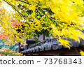 Tile over autumn leaves 73768343