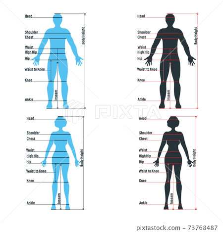 Female and male size chart anatomy human character, people dummy front and view side body silhouette, isolated on white, flat vector illustration. 73768487