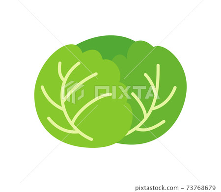 捲心菜的插圖圖像 捲心菜的插圖圖像 73768679